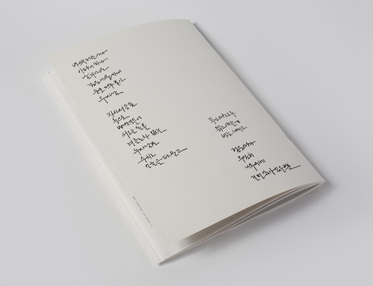 Skene:secluded selves-collaboration, 2014, Artists' Books (six offset-printed books / 200 editions), 23.5x16.5cm


 10