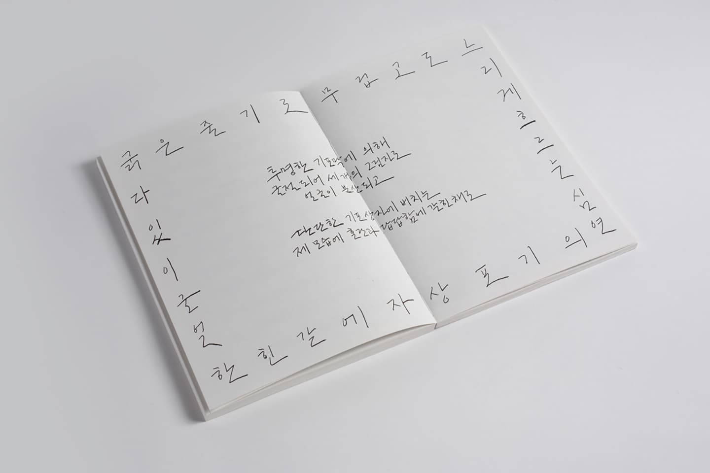 Skene:secluded selves-collaboration, 2014, Artists' Books (six offset-printed books / 200 editions), 23.5x16.5cm


 15