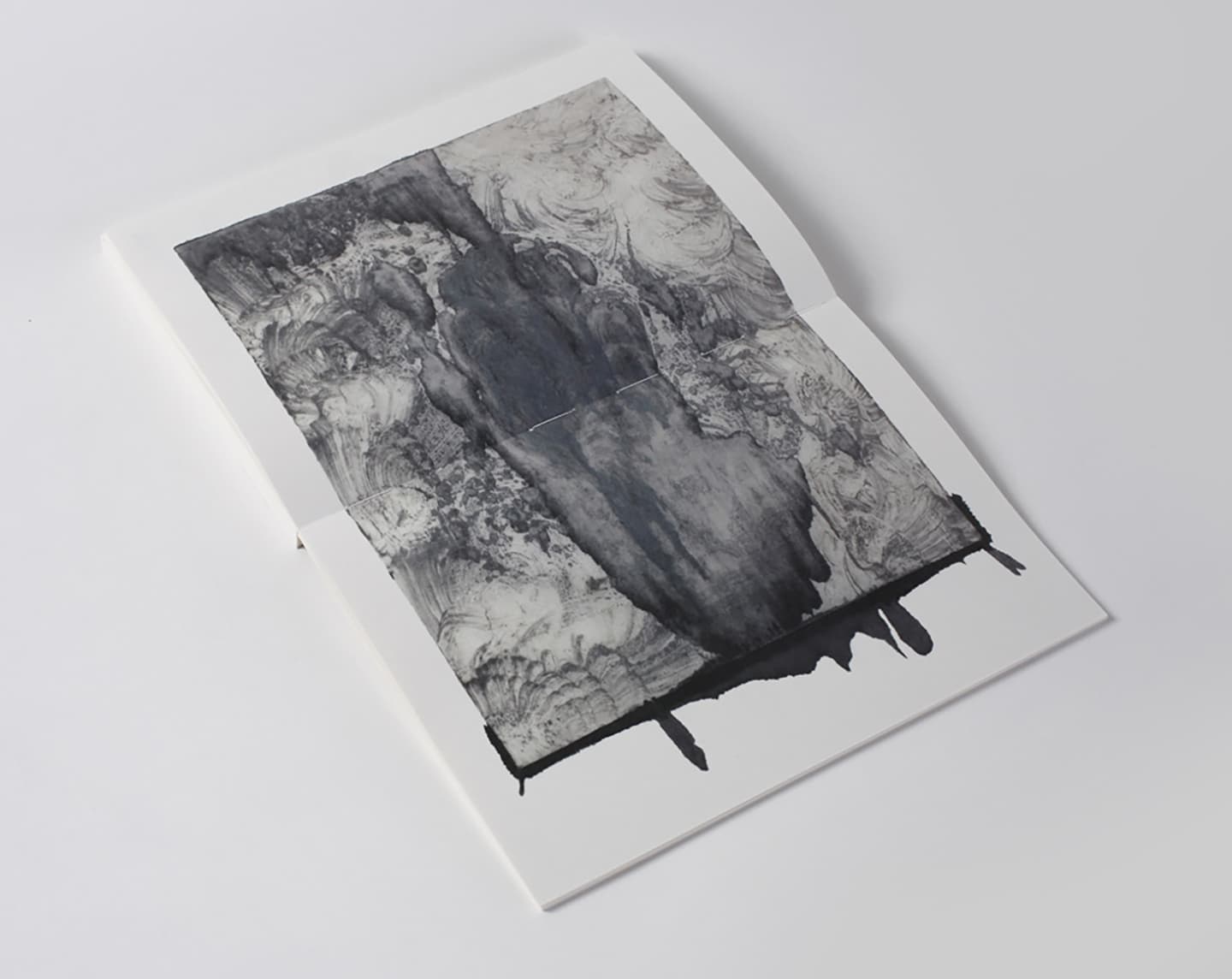 Skene:secluded selves-collaboration, 2014, Artists' Books (six offset-printed books / 200 editions), 23.5x16.5cm


 16
