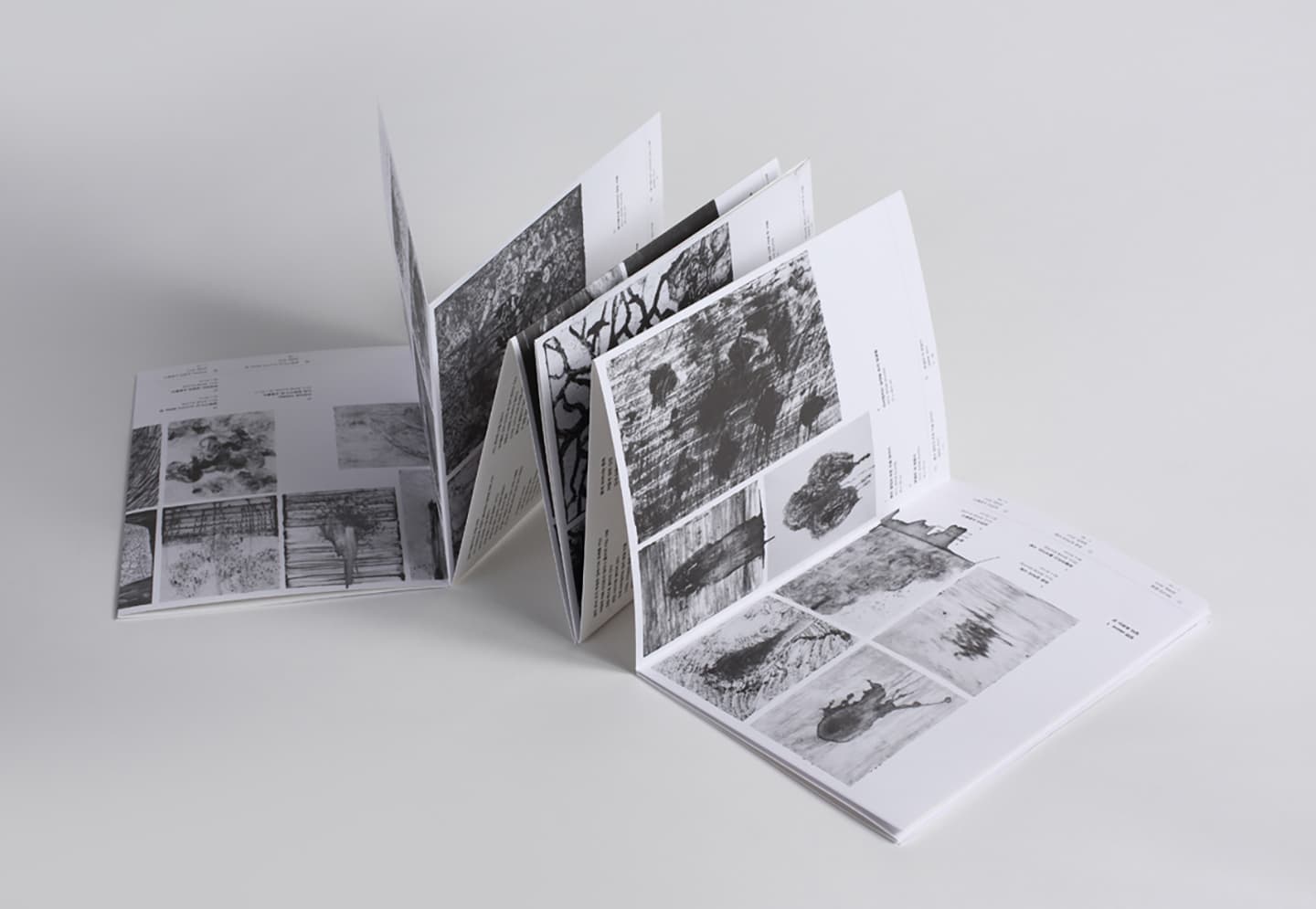 Skene:secluded selves-collaboration, 2014, Artists' Books (six offset-printed books / 200 editions), 23.5x16.5cm


 18