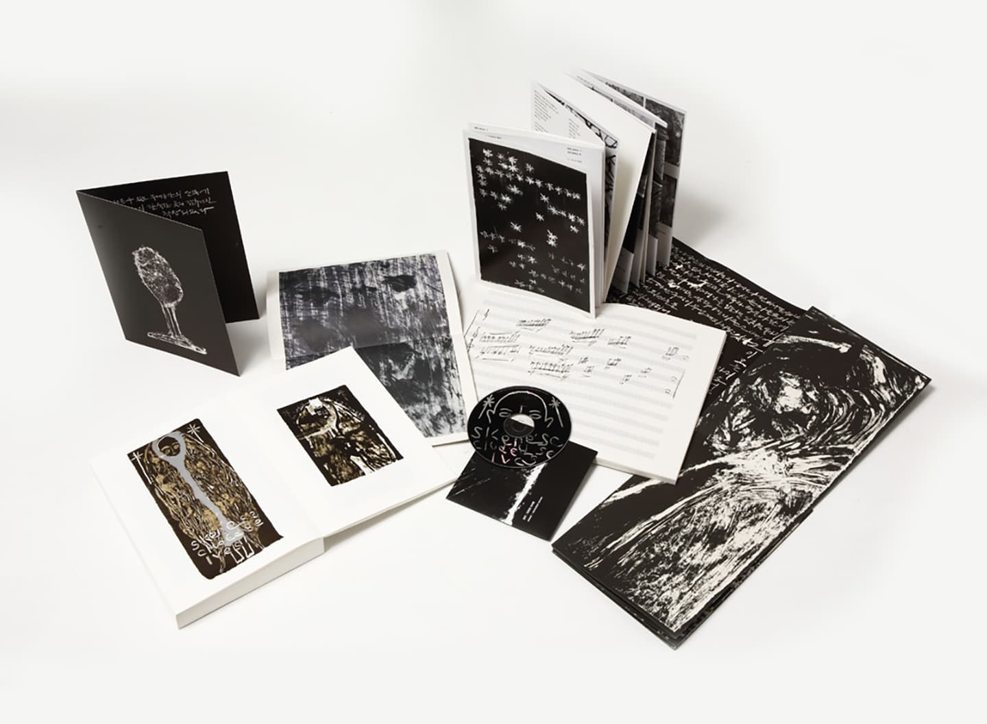 Skene:secluded selves-collaboration, 2014, Artists' Books (six offset-printed books / 200 editions), 23.5x16.5cm


 1