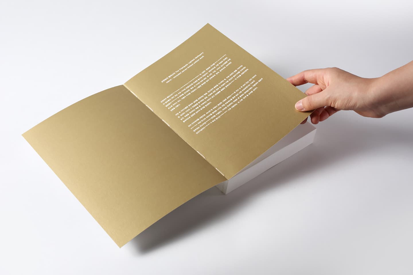 Skene:secluded selves-collaboration, 2014, Artists' Books (six offset-printed books / 200 editions), 23.5x16.5cm


 20