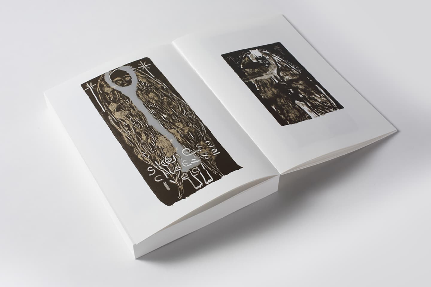 Skene:secluded selves-collaboration, 2014, Artists' Books (six offset-printed books / 200 editions), 23.5x16.5cm


 22