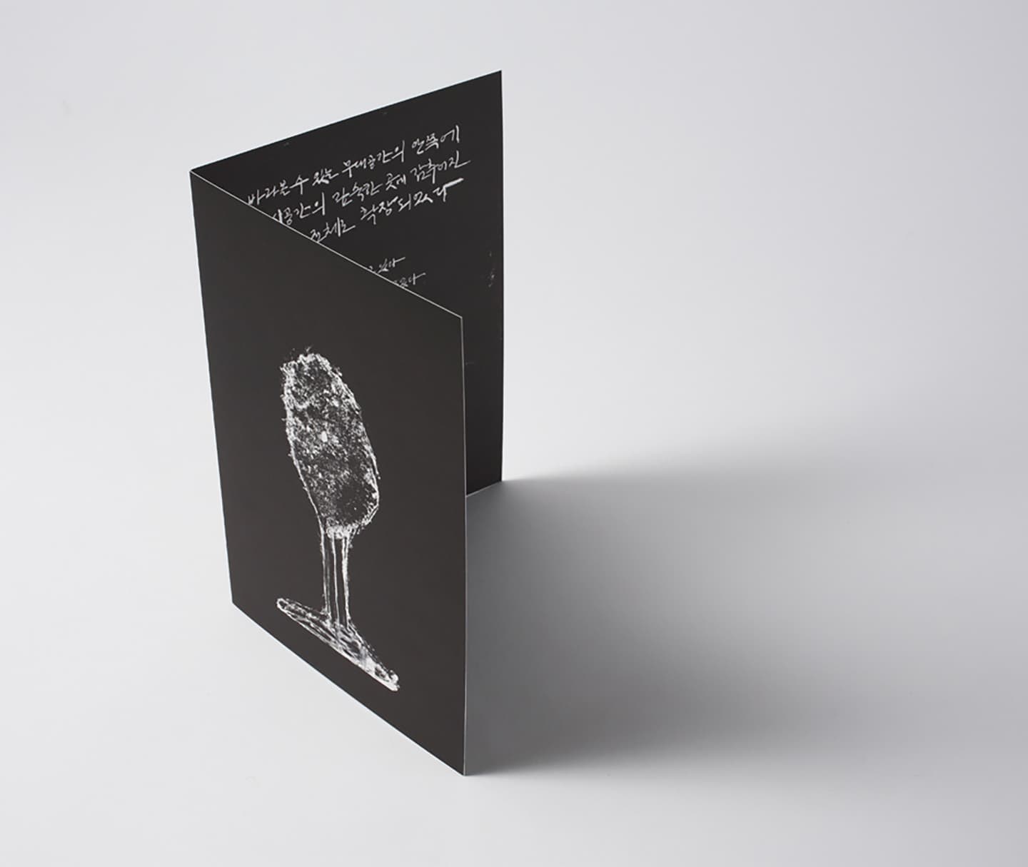 Skene:secluded selves-collaboration, 2014, Artists' Books (six offset-printed books / 200 editions), 23.5x16.5cm


 3