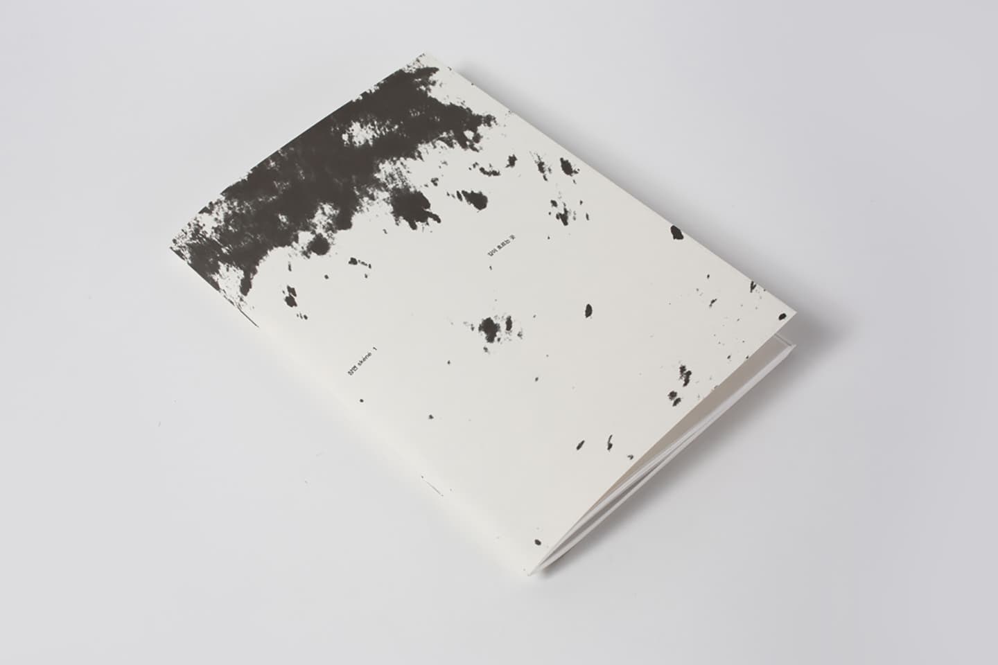 Skene:secluded selves-collaboration, 2014, Artists' Books (six offset-printed books / 200 editions), 23.5x16.5cm


 5