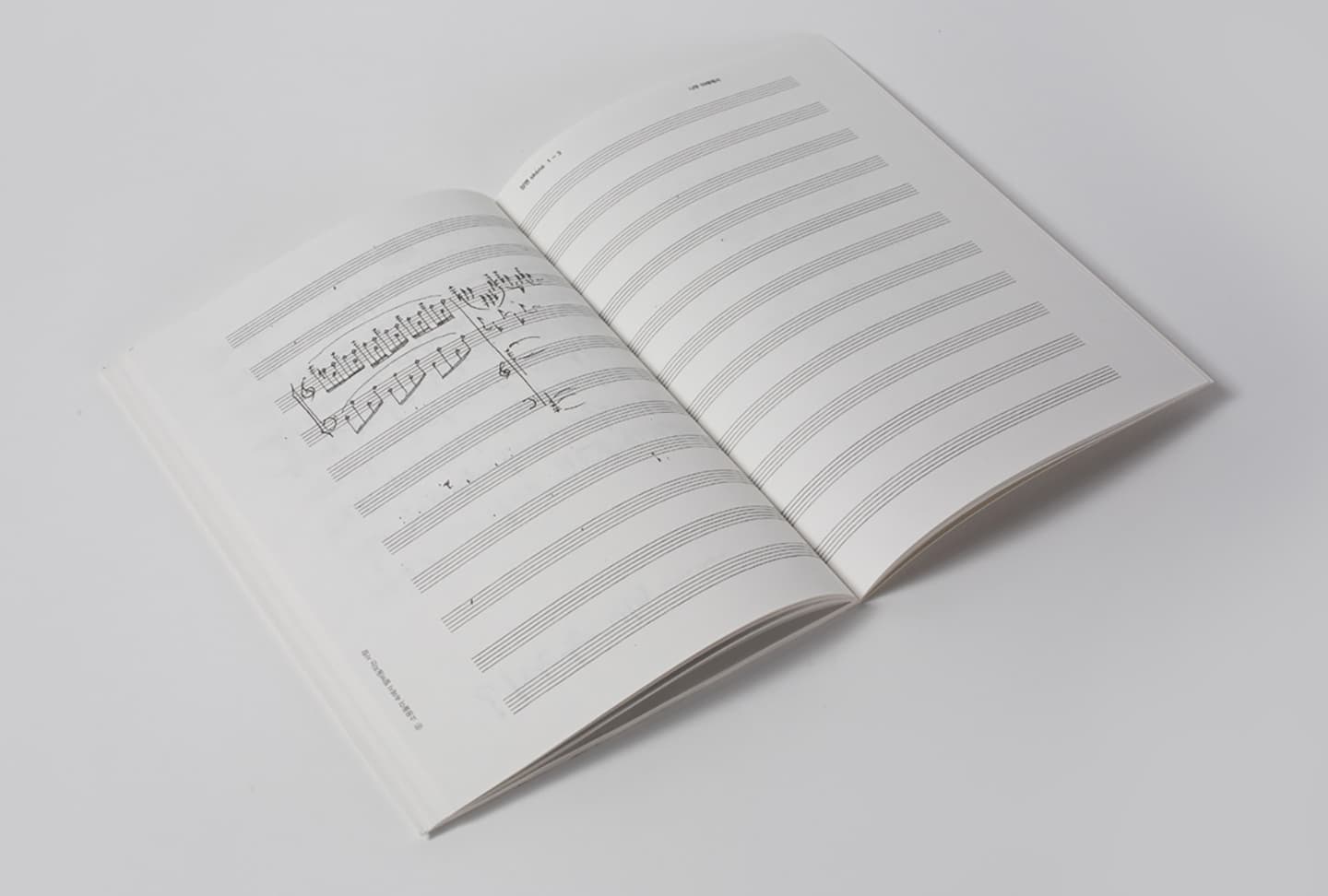 Skene:secluded selves-collaboration, 2014, Artists' Books (six offset-printed books / 200 editions), 23.5x16.5cm


 6