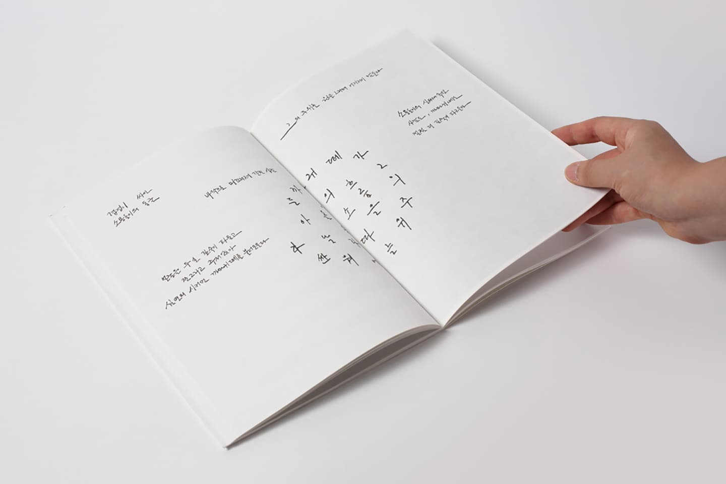 Skene:secluded selves-collaboration, 2014, Artists' Books (six offset-printed books / 200 editions), 23.5x16.5cm


 8